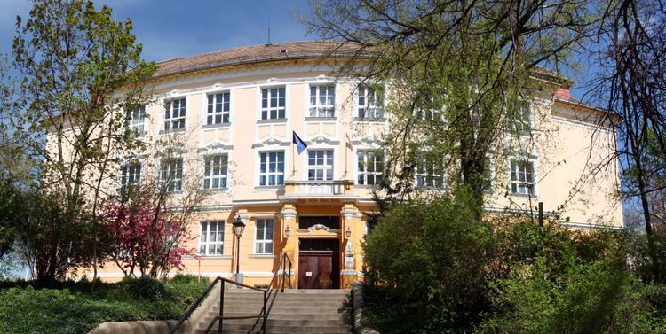 Bemutatkozás illusztráció