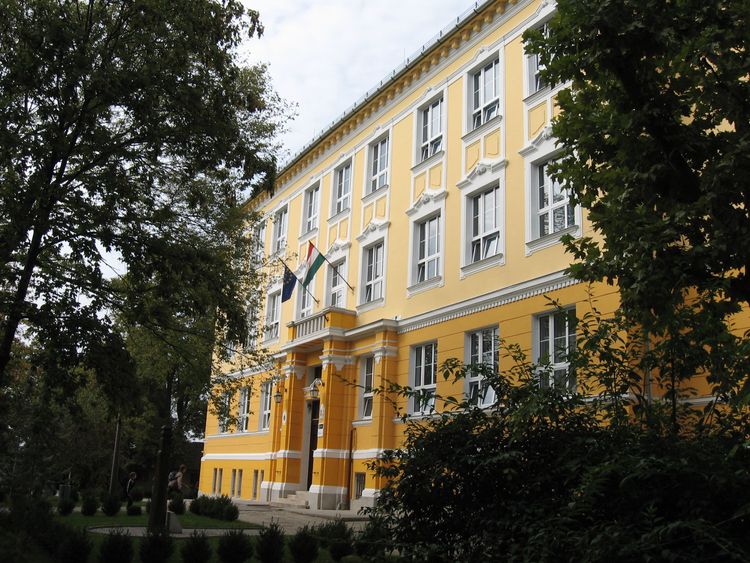Népszerű hír